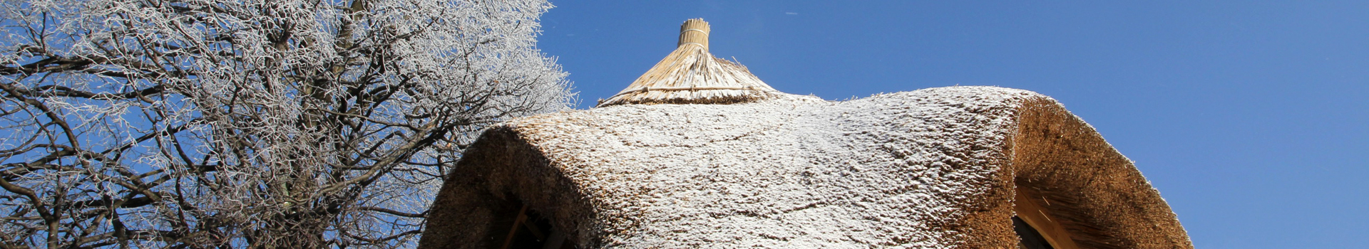 Archiv pro štítek: rákosová střecha