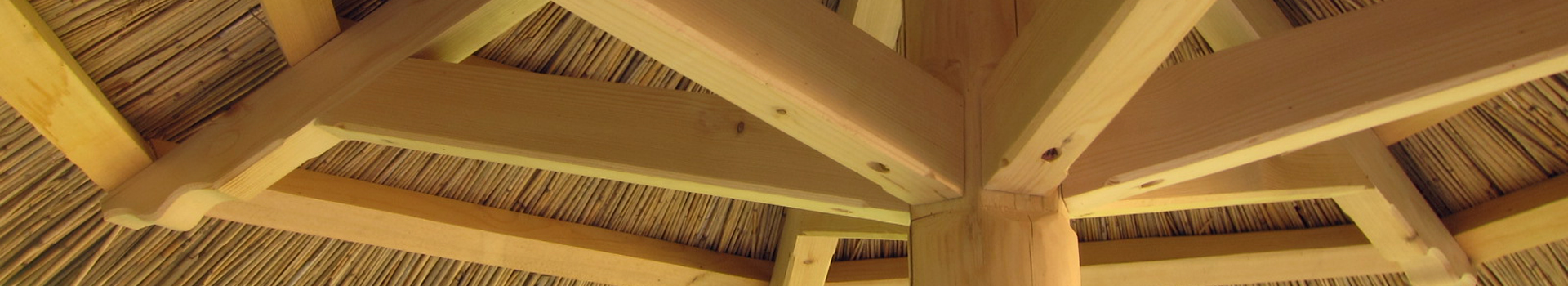 Archiv pro štítek: konstrukce z rostlého dřeva